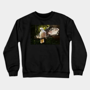 Sulphur Crested Cockatoo, Warburton Crewneck Sweatshirt